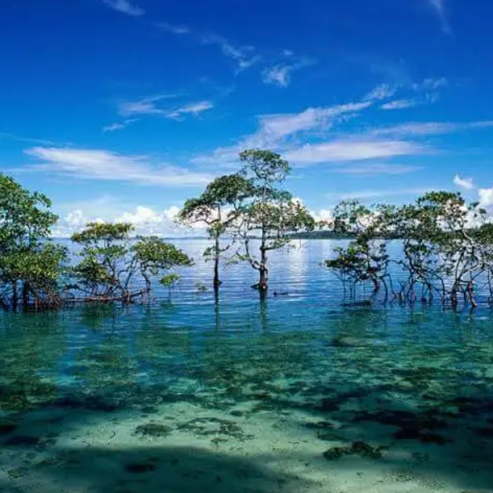 Andaman