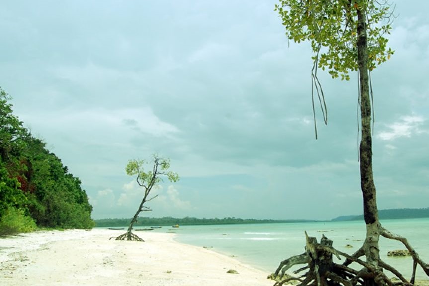 Port Blair & Havelock & Neil Island